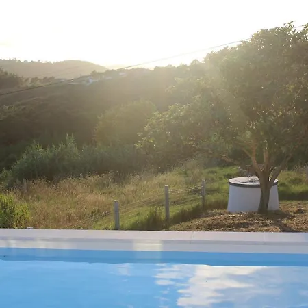 Ricardo Villa Alcobaça