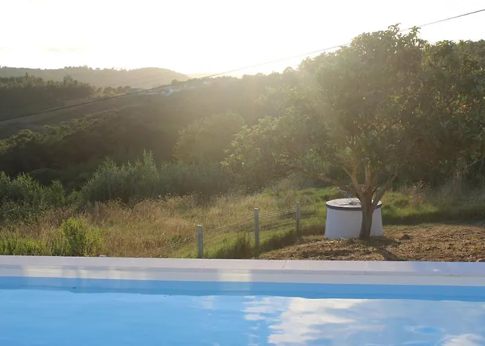 Ricardo Villa Alcobaça